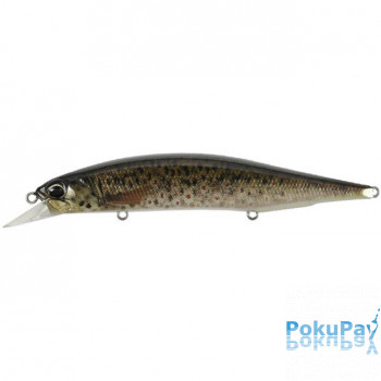 Воблер DUO Realis Jerkbait 120SP Pike 120mm 17.8g (CCC3815)