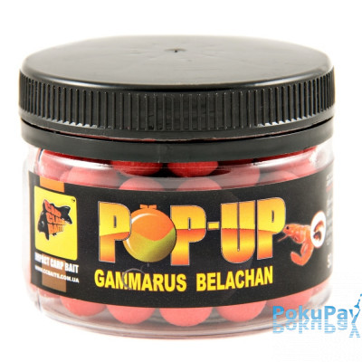 Бойлы CCBaits Pop-Ups Gammarus Belachan 10mm 35gr (CCB001860)